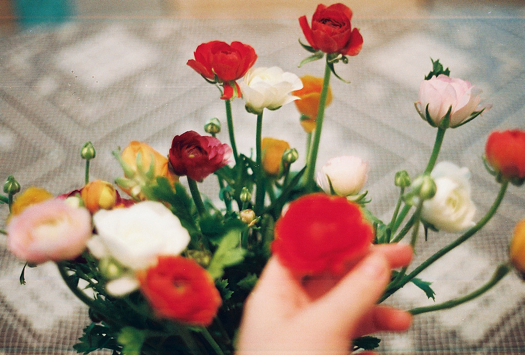 algoll:  Film; (by Forever A Sleepwalker) 