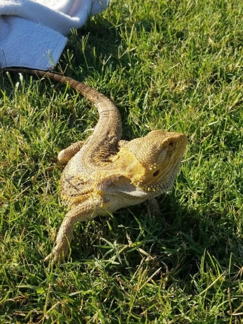 Falafel Looooves Her Outside Time