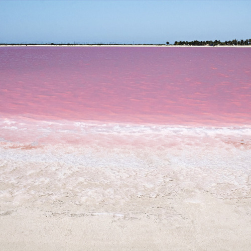 Porn Pics studiovq: Pink lakes filled with salt. The