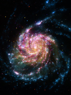 sci-universe:  The Pinwheel Galaxy.(Image