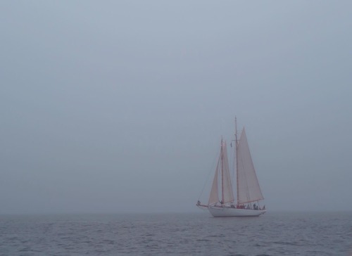 Foggy June