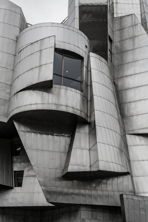 gotraveling: the weisman art museum // frank gehry // minneapolis - by Ryan Jackman 