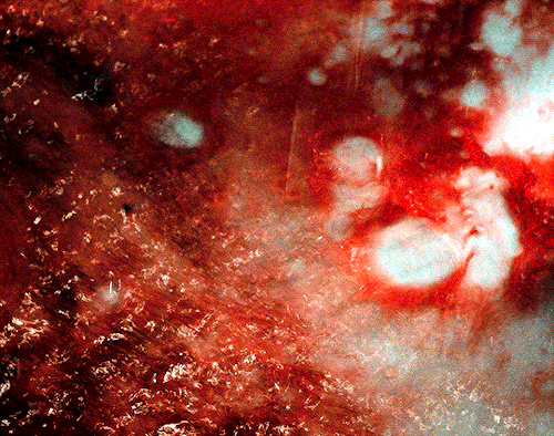 thewintersoldier: 31 DAYS OF HALLOWEEN ↳ DAY #13:  RAW (2016) • dir. Julia Ducournau