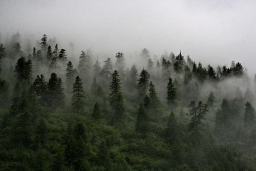 Porn photo 90377:Nebbia Spettrale by Roveclimb on Flickr.