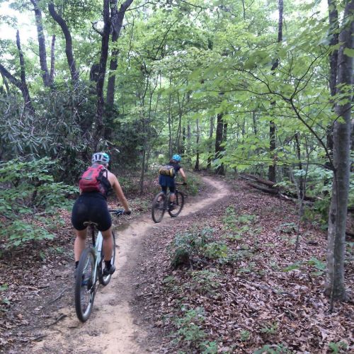 thebicycletree:  Bagged a ride on #kitsuma in #pisgahnationalforest and it was fantastic! #mountainb