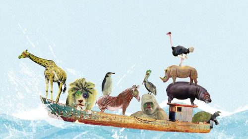 (via 動物園、実は役に立っていない？─研究によると「生きた動物を見ることは教育に良いわけでもない」 | 問われる、そのあり方 | クーリエ・ジャポン)
