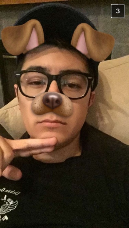 belkin:Tagged by @deathchips and @furven to do the snapchat filter thing uwuI tag @kant @melonboyy @