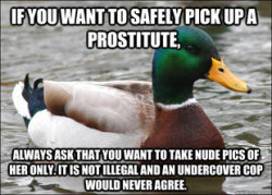 fortis-cadere-cedere-non-potest:  escapingthefarm:  kritrockets:  methoticalmemento:  my favorites of this meme  oh Advice Mallard thank you  It went from super sketchy advice that I will never need to really helpful advice pretty quickly.  I’m on