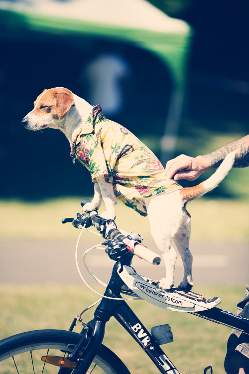 Watch this biker! 13 months old - and he’s been riding since he was 6 months. Spotted at the M