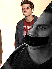 dylanholyhellobrien: My Followers asked me || Favorite Teen Wolf season || 3BEveryone has it, but no
