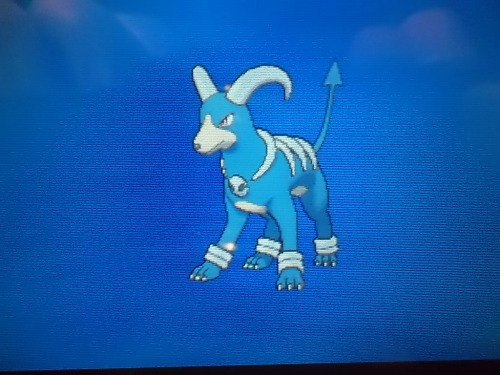 the-pokemon-adventurers:  My baby ;w;  holy shit
