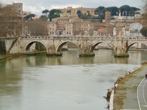 Il fiume Tevere con il ponte Sant’Angelo e il Gianicolo oltre, 2019.