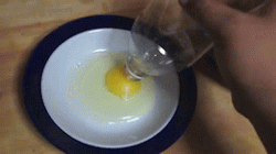 the-absolute-best-gifs:  ippinka: Try out