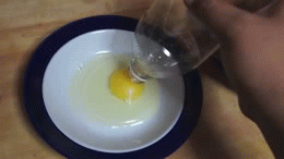 ippinka:Try out a cool way to separate egg yolks from egg whites!