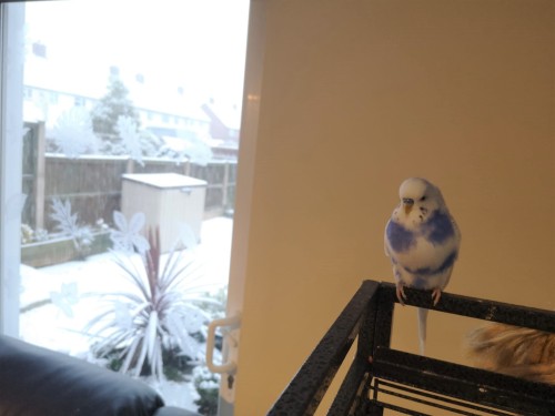 Baby boy’s first ever snow day!