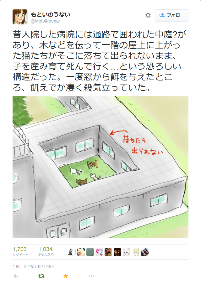 re-nise3kawan:  もといのうないさんはTwitterを使っています: “昔入院した病院には通路で囲われた中庭?があり、木などを伝って一階の屋上に上がった猫たちがそこに落ちて出られないまま、子を産み育て死んで行く…という恐ろしい構造だった。一度窓から餌を与えたところ、飢えでか凄く殺気立っていた。