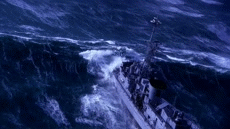 31262:  Riding the rollercoaster. Video   seasick anyone
