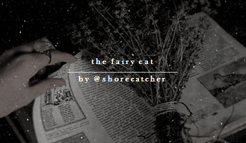 the fairy cat for @shorecatcher ✨