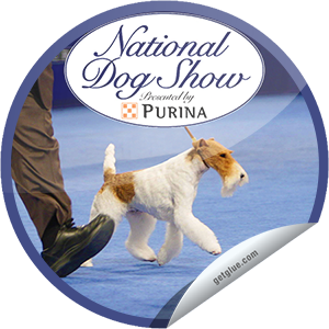 I just unlocked the National Dog Show 2013 sticker on GetGlue
1687 others have also unlocked the National Dog Show 2013 sticker on GetGlue.com
You’re watching the 2013 National Dog Show! Woof Woof! Thanks for tuning in on NBC. Share this one proudly....