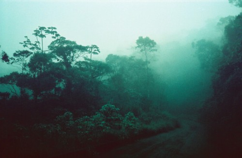 sickpage:  Yoshio Moriyama 