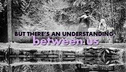 captainswantrash-blog: –– Paula Hawkins, The Girl on the Train 