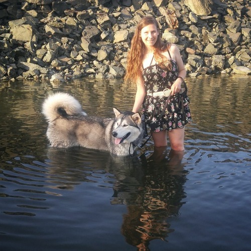 Willow, who has been terrified of water, went for her first ocean swim today! Proud of you baby girl