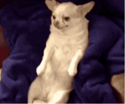 gang0fwolves:  when a bunch of your favorite artists release new music at the same