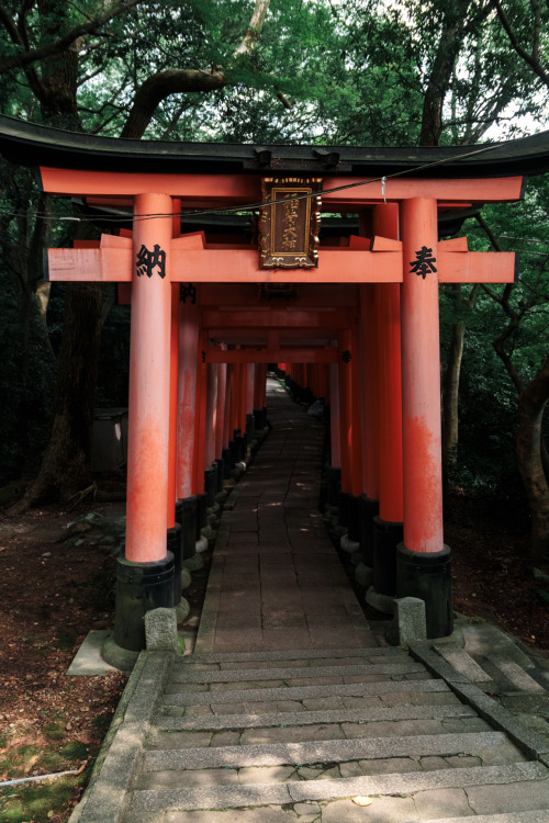 Kyoto, July 2015