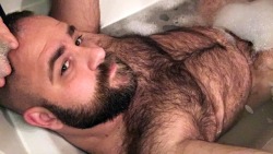 hairytreasurechests: FOLLOW MY OTHER TUMBLR BLOGS: Hairy, bearded and older men who are well hung: menwhohangwell.tumblr.com  Hairy men and dads in open bathrobes:                                                      openrobe.tumblr.com