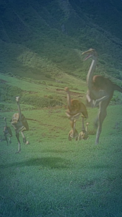 dinosaur phone wallpaper | Tumblr