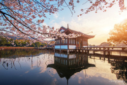 mingsonjia:  杭州之春 Spring of Hangzhou, China  by zhangkeshuang   Beautiful