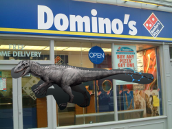 Indomino’s Rex