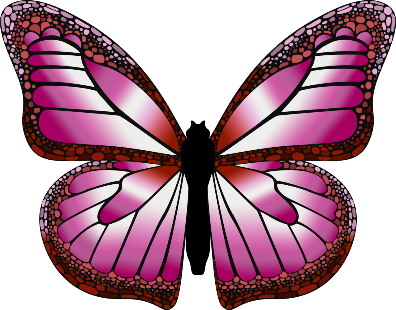 emilylaj-for-pride-month-i-made-some-butterflies-with-the-lgbtqia