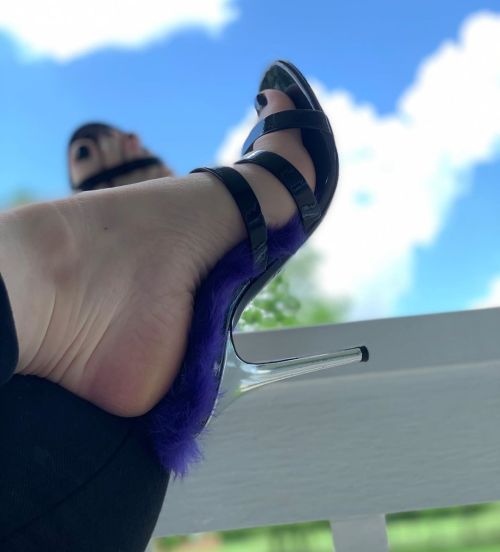 Afternoon@giuseppezanotti #giuseppezanotti #gz #mules #toes #feet #highheels #arch #thatarch #mulesh