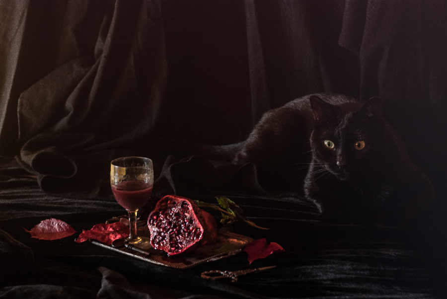 ysambre-fauntography: “Exercice de style VI”Happy Samhain everyone ;) 