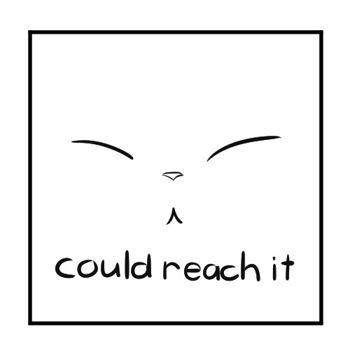 thememorycardisfull:  The Answer 
