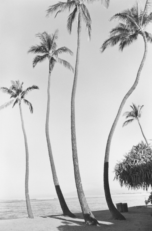 jonasgrossmann: henry wessel… waikiki, 1979 @ kms