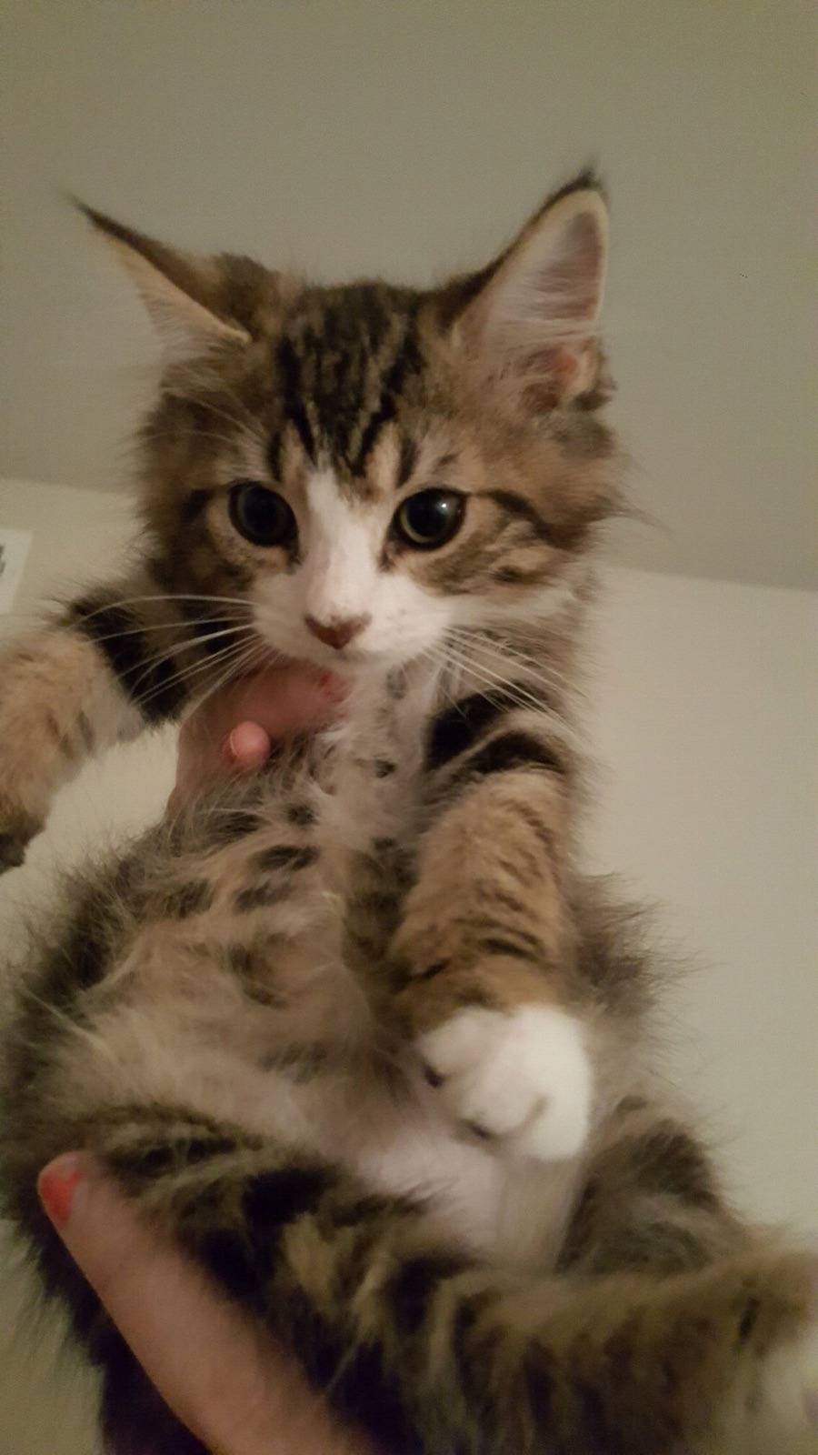 were-getting-good:  4 more weeks!