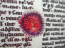 sixpenceee:  Medieval scribes had a host of ideas to work around bad parchment, from webs of silk embroidery to cheeky illustrations, the blemishes were incorporated right into the physical texts. (Source)