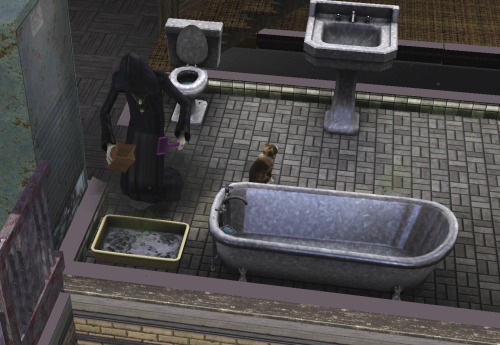 simsgonewrong: the grim reaper came to my house and cleaned out the litterbox after taking my sim&rs