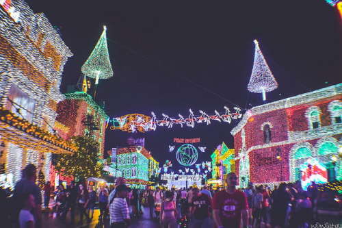 disneyworldsisters:Osborne Family Spectacle of Dancing Lights on Flickr.