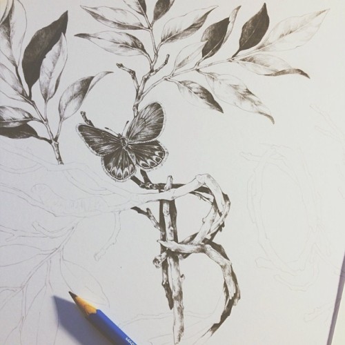 teaganwhite:  twig typography night 