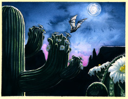 mica-low:  Saguaro cacti in bloom with the nectar-feeding Great Long-Nosed Bat (Leptonycteris nivalis). Done for a backlighting assignment in watercolor for the illustrator.  