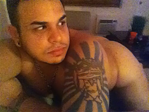bearsnsox:  gays-cats-and-funnies couldn’t figure out which pics of my cakes to