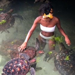 officialblackwallstreet:Travel goals in Zanzibar, Tanzania 🙌🏿 #BlackTravel (📸: @gracie_al) turtle turtle hehehehehehe