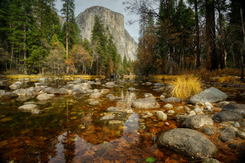 One of my favourite spots in Yosemite National Park is Cathedral Beach, along the south bank of the 