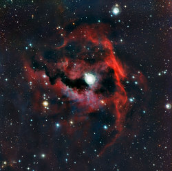 This new image from ESO’s La Silla Observatory shows part of a stellar nursery nicknamed the Seagull Nebula. This cloud of gas, formally called Sharpless 2-292, seems to form the head of the seagull and glows brightly due to the energetic radiation