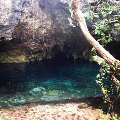 Swimming today in the magical cenote #sairahunjan #gypsydevi #thegirlwiththegoldenneedle #tulum #mex