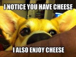 best-likes:  So, you have cheese…