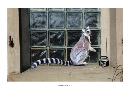 lustik: Street Animal by Raphael Gabriel via Galerie Pouloeuff.